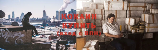 ГАЛЛЮЦИНОГЕННЫЕ ГРИБЫ Рославль